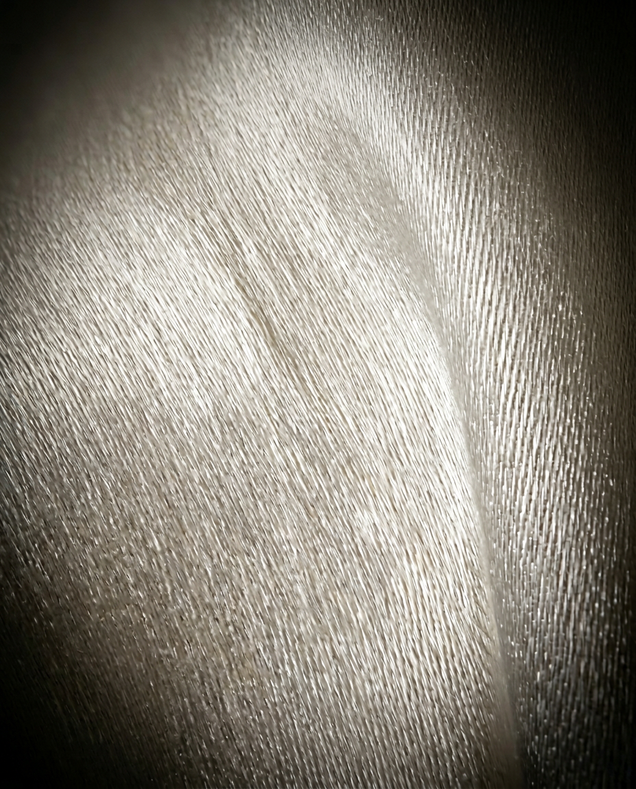03_macro_silk_weave.png