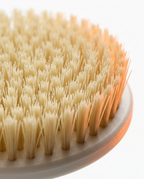 04_macro_bristles.png