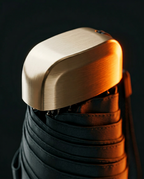 04_macro_capsule_topcap.png