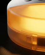 04_macro_nightlight_glow.png