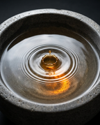 05_macro_oil_drop.png