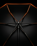 05_macro_rib_frame.png