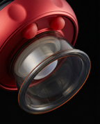 05_macro_suction_cup.png