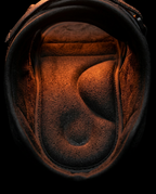 06_macro_padded_sole_interior.png
