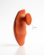 06_macro_palm_curve.png