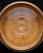 06_macro_water_surface.png