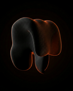 06_macro_wing_contour.png
