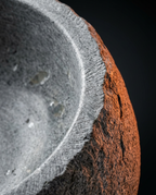 07_macro_rim_detail.png