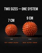07_size_guide_infographic.png