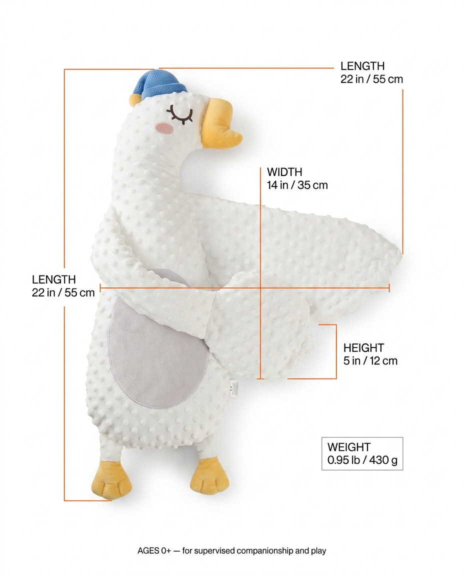 07_size_guide_infographic.png