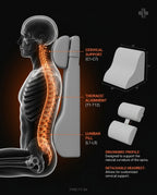 08_anatomy_spine_diagram.png