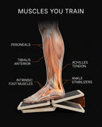 08_anatomy_target_muscles.png