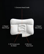08_infographic_anatomy_dark.png