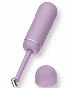09_variant_purple.png