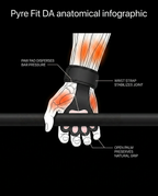 10_anatomy_grip_diagram.png