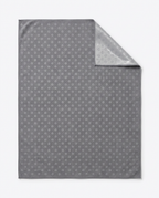 10_color_gray.png