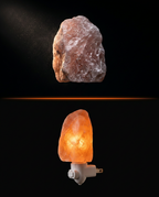 10_section_salt_origin.png