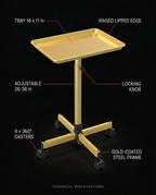 10_tech_specs_infographic.png