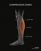 11_anatomy_calf_zones.png
