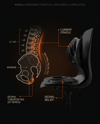 11_anatomy_diagram.png