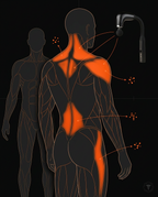 11_anatomy_reach_map.png