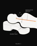 11_anatomy_spinal_alignment.png