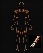 11_body_zones_map.png