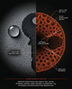 11_diatomite_science.png