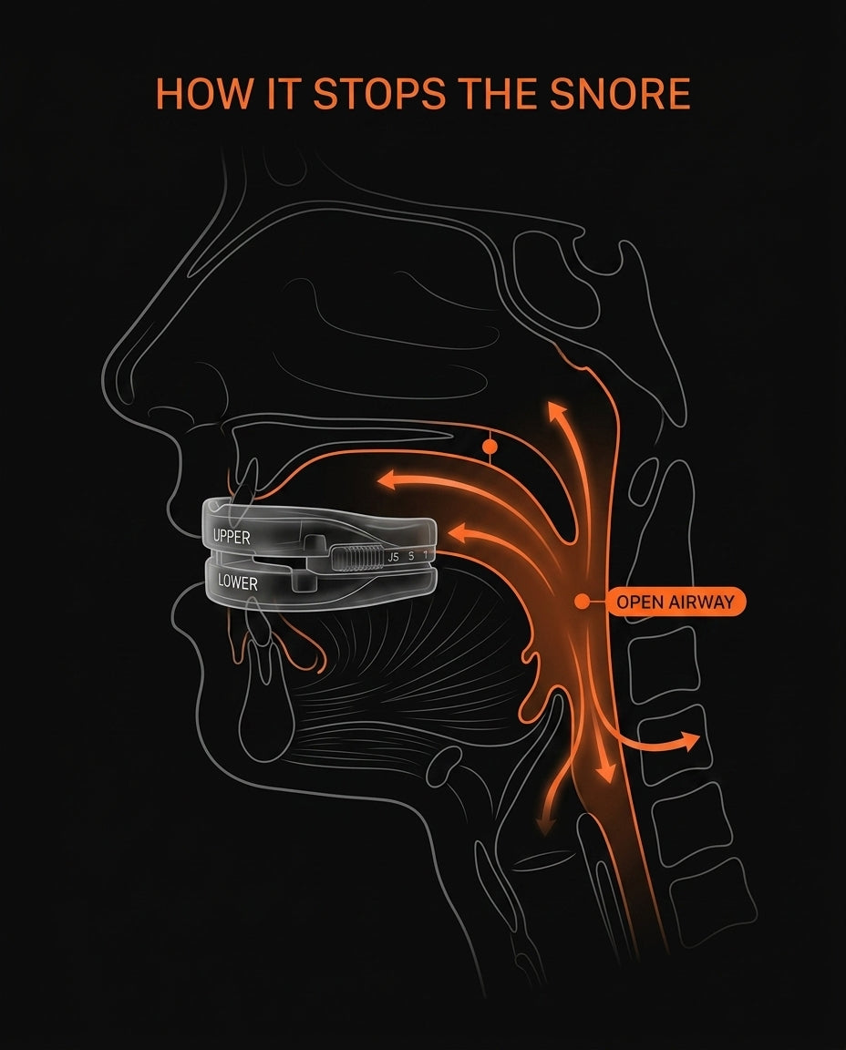 11_medical_airway_anatomy.png