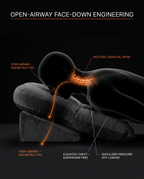 11_medical_airway_anatomy.png
