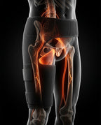 11_medical_anatomy.png