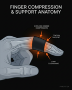 11_medical_anatomy.png