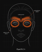 11_medical_anatomy_diagram.png