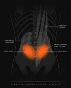11_medical_anatomy_lumbar.png