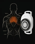 11_medical_back_anatomy.png