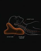 11_medical_cervical_alignment.png