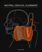 11_medical_cervical_alignment.png