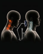 11_medical_cervical_anatomy.png