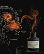 11_medical_nervous_system.png