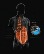 11_medical_proprioception.png