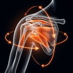 11_medical_rotator_cuff.png