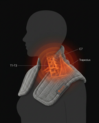 11_section_anatomy_heat_map.png