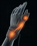 11_section_anatomy_map.png