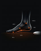 11_section_foot_anatomy.png
