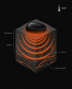 11_section_heat_therapy_science.png