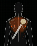 11_section_reach_anatomy.png
