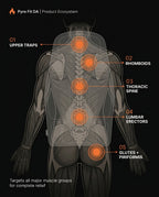 12_anatomy_five_zones.png