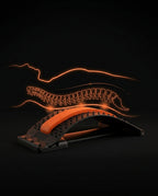 12_anatomy_spine_overlay.png