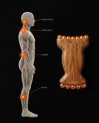12_medical_anatomy.png