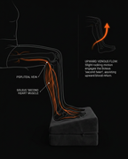 12_medical_circulation.png